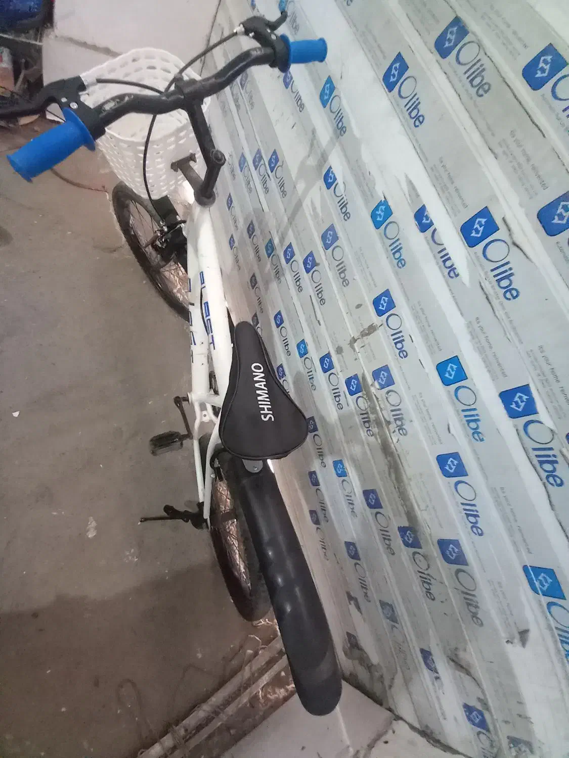 دوچرخه|دوچرخه، اسکیت، اسکوتر|تربت جام, شهرک معلم|دیوار