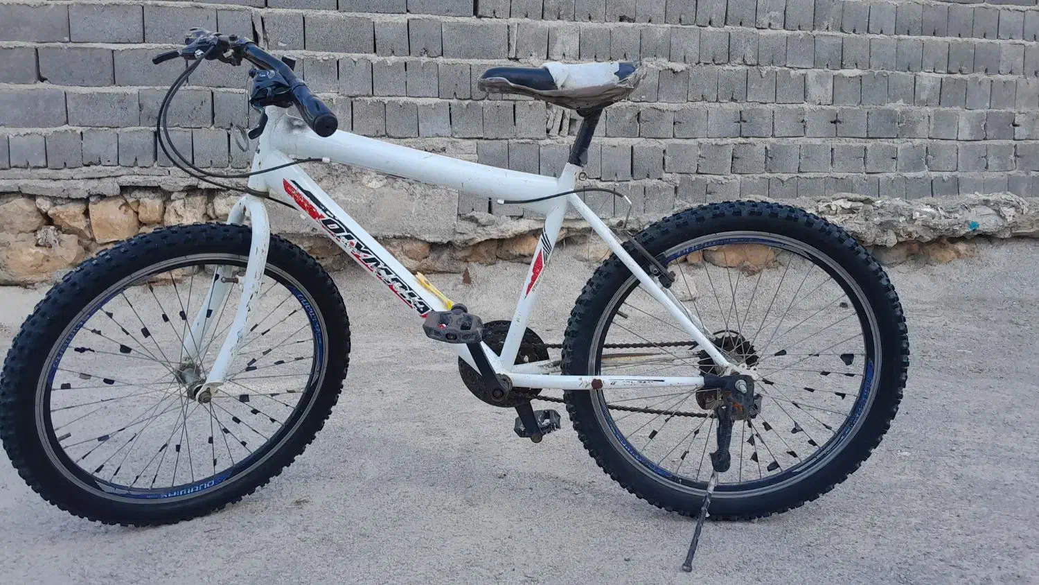 دوچرخه 24|دوچرخه، اسکیت، اسکوتر|ایوان, |دیوار