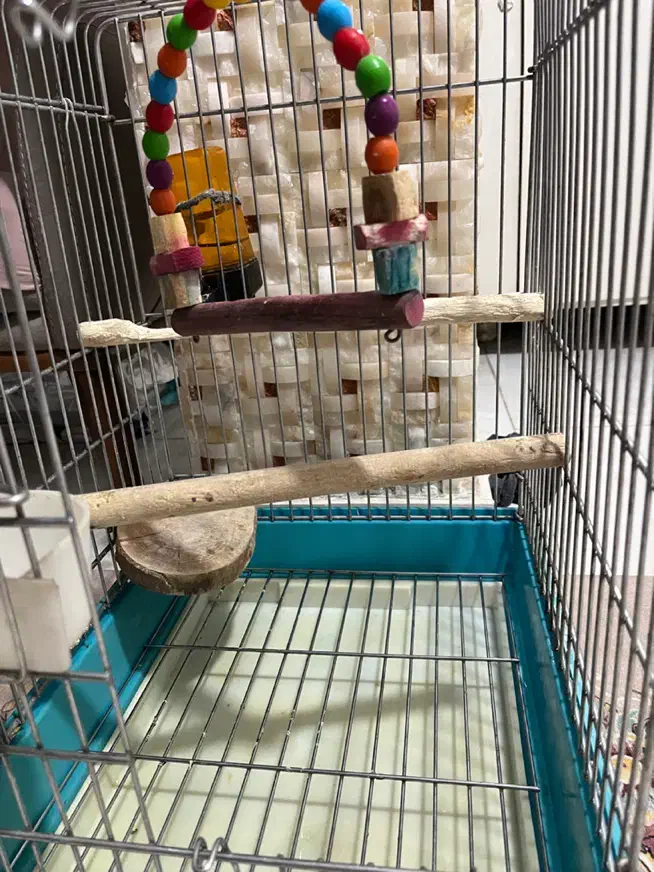 قفس بزرگ در حد نو|لوازم جانبی حیوانات|تهران, امیریه|دیوار