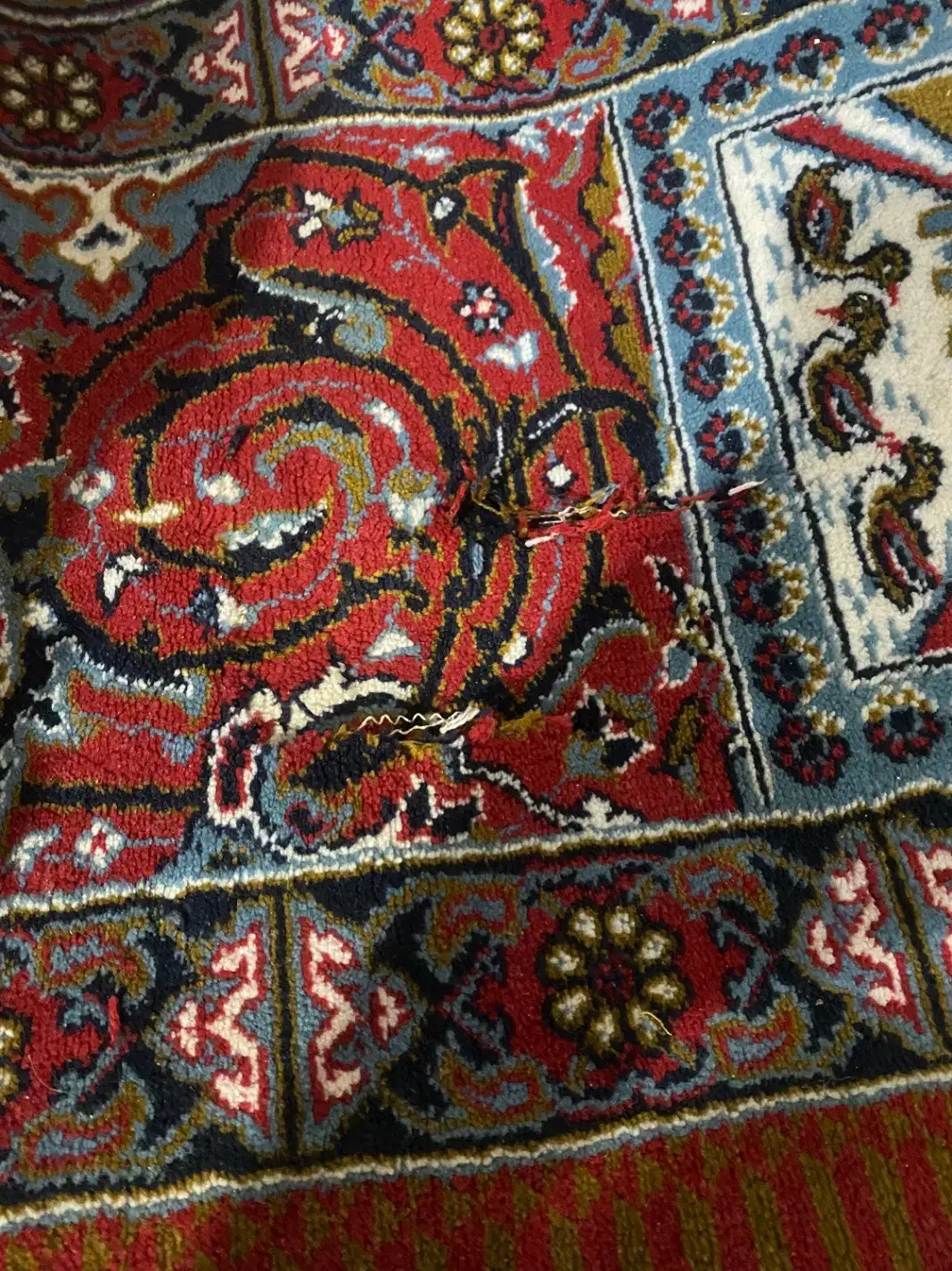 فرش ۱۲ متری|فرش|اهواز, کیانپارس |دیوار