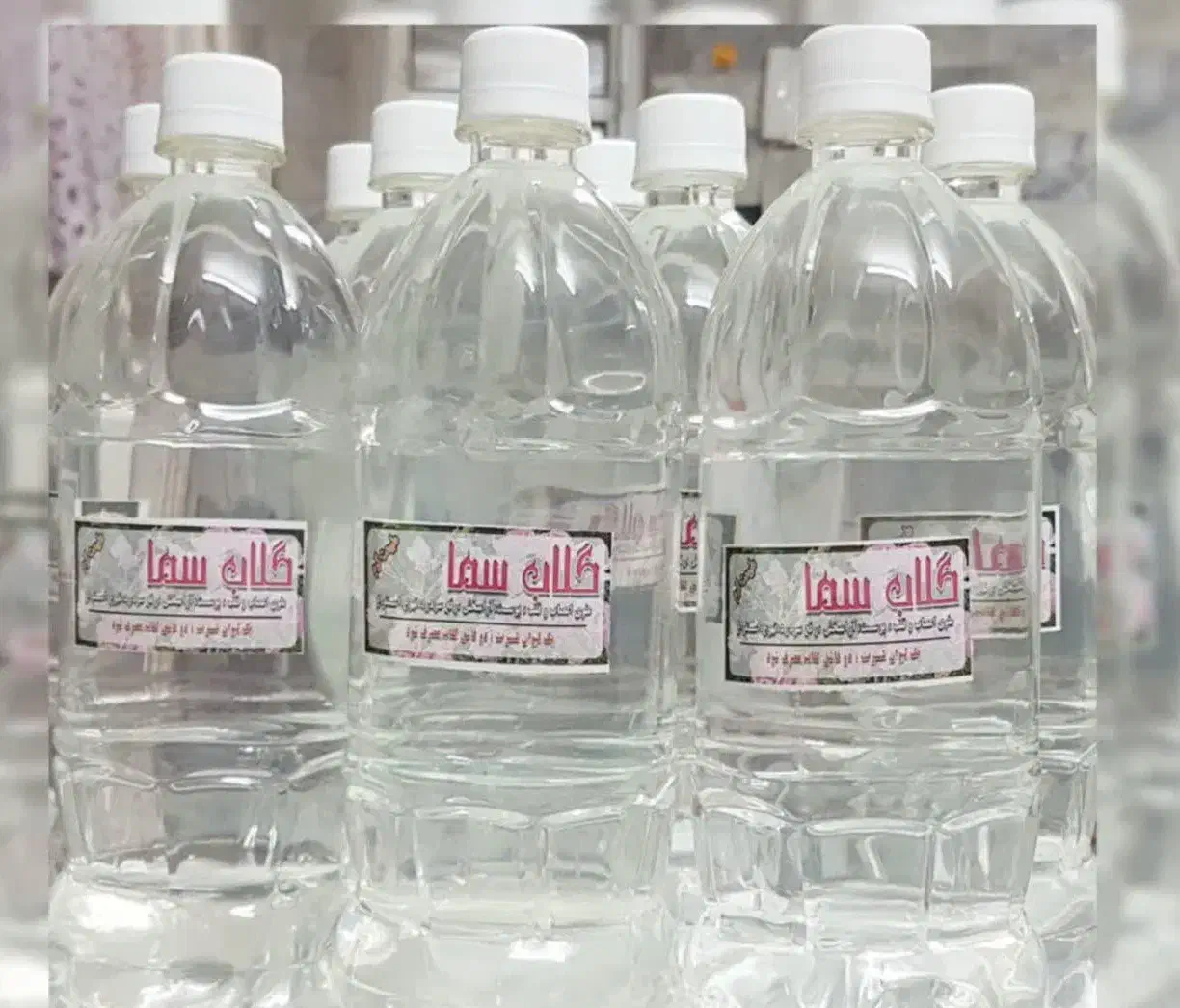 گلاب سنگین|خوردنی و آشامیدنی|مشهد, گلشور|دیوار