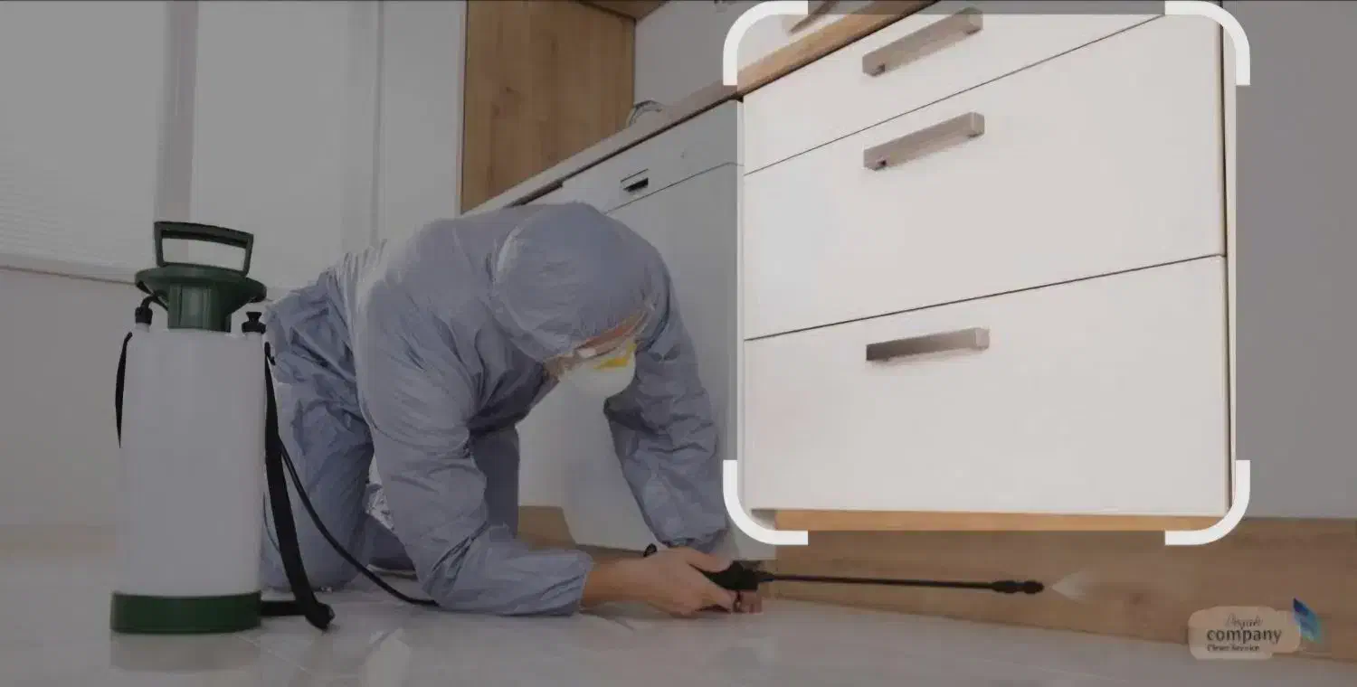 سم پاشی به صورت حرفه ای با تضمین  با تخفیف ویژه|خدمات نظافت|یزد, |دیوار