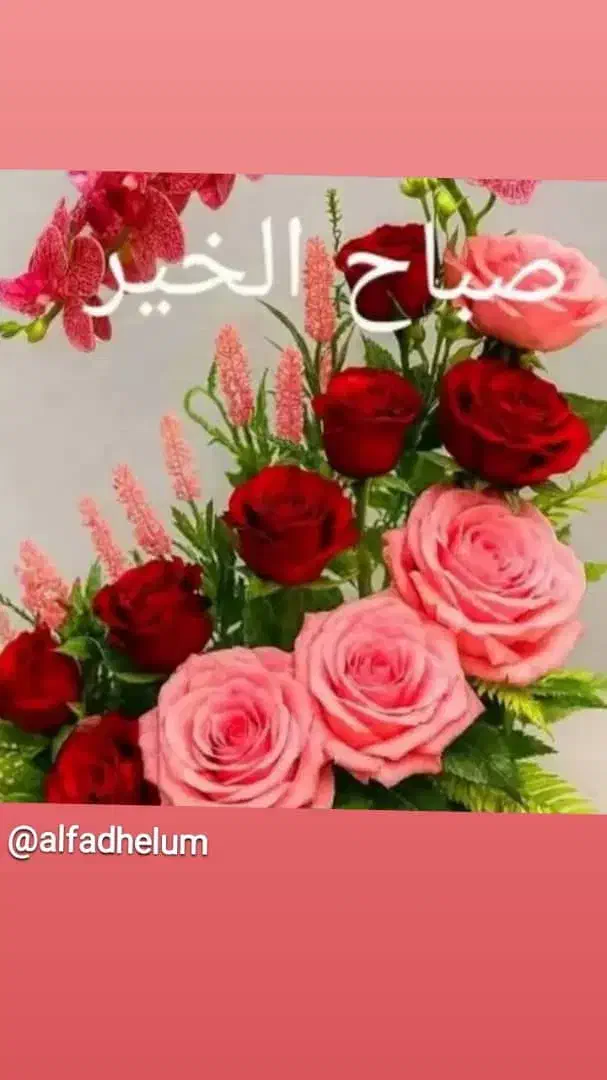 فیش حج|تور و چارتر|اهواز, زندوکیلی|دیوار