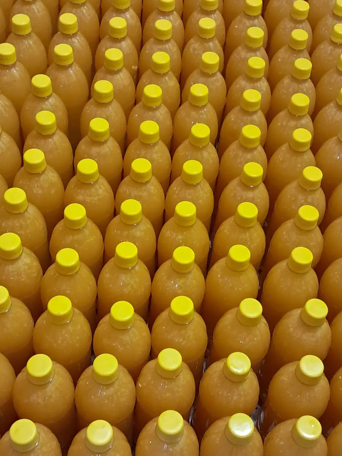 آبلیمو آبغوره آبنارنج سرکه سیب و انگور 30000|خوردنی و آشامیدنی|مشهد, شاهد (شهرک غرب)|دیوار