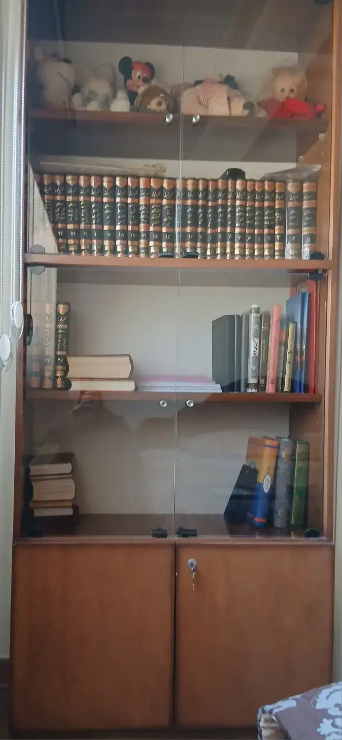 کتاب خانه چوبی با درب شیشه|کتابخانه، شلف، قفسههای دیواری|تبریز, |دیوار