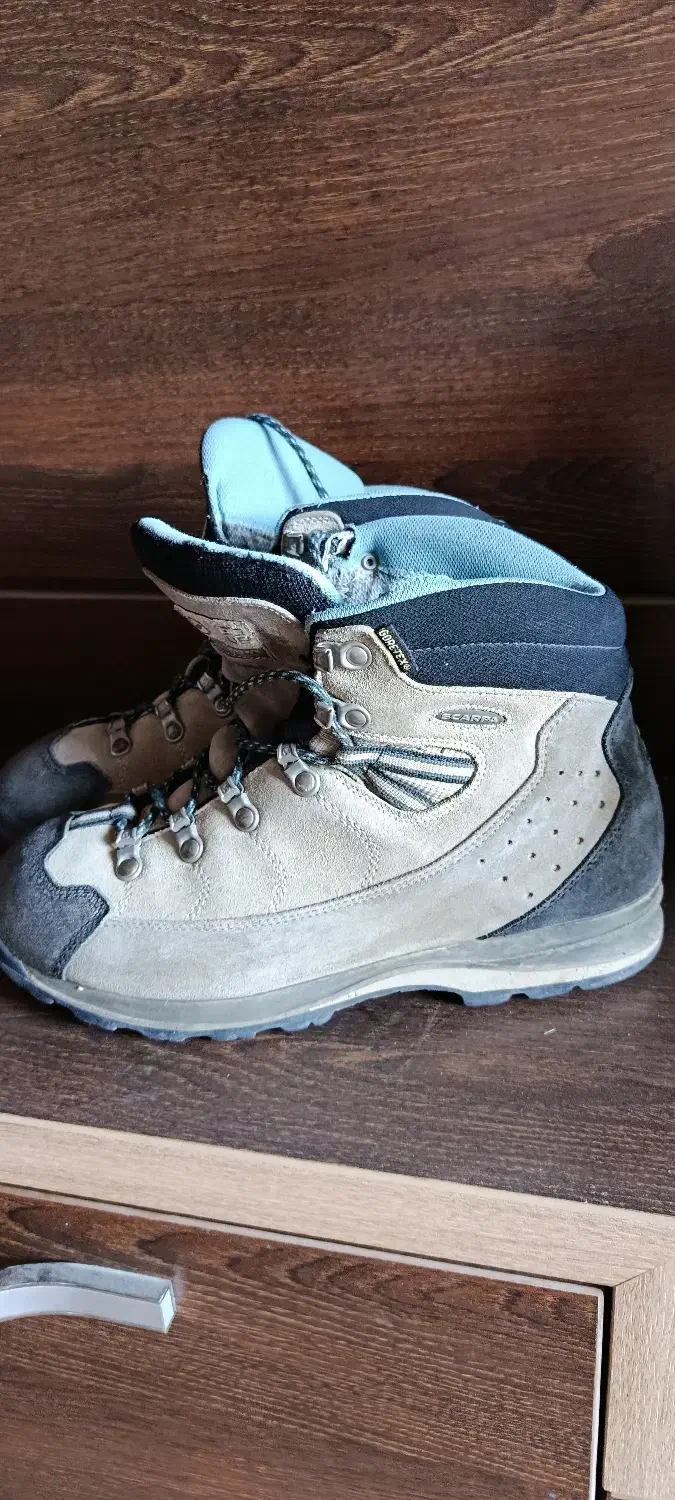 کفش کوهنوردی (۴۰)|کوهنوردی و کمپینگ|شیراز, رکنآباد|دیوار