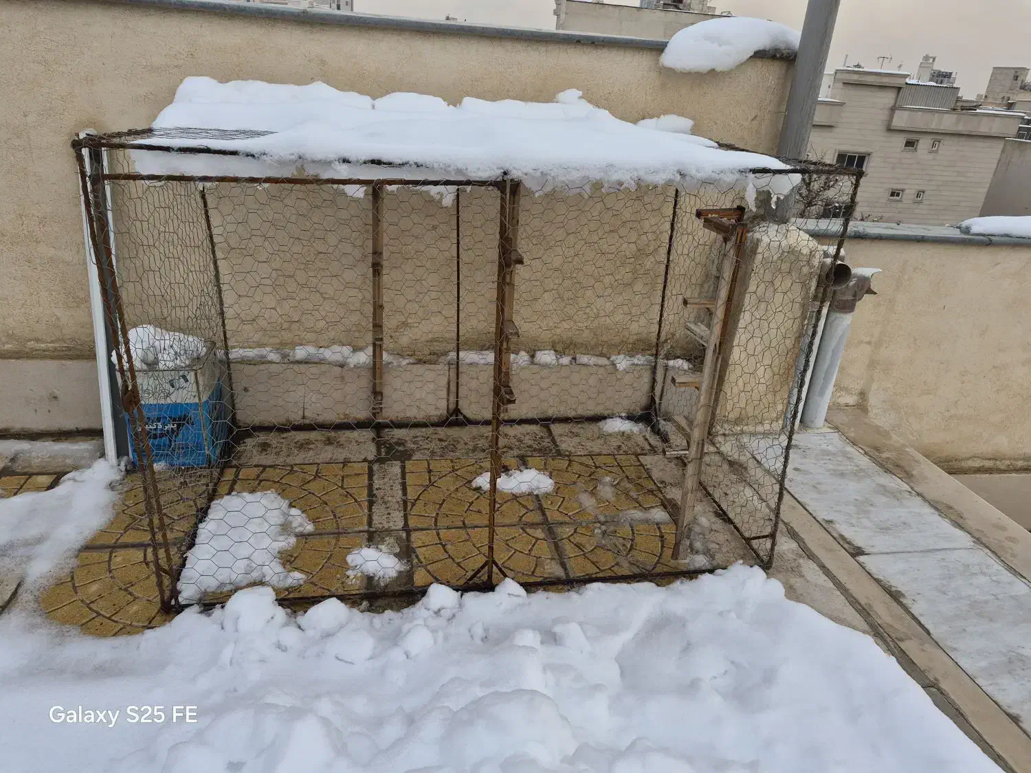 قفس|لوازم جانبی حیوانات|مشهد, بهشت|دیوار