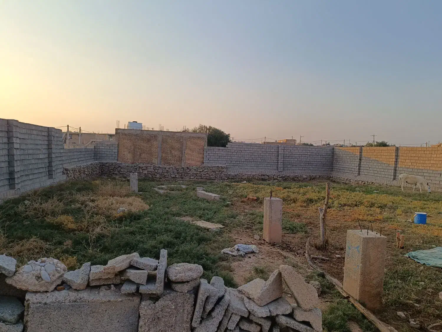 زمین خرمن خاک ۶۵۰متر|فروش زمین و ملک کلنگی|شوشتر, |دیوار