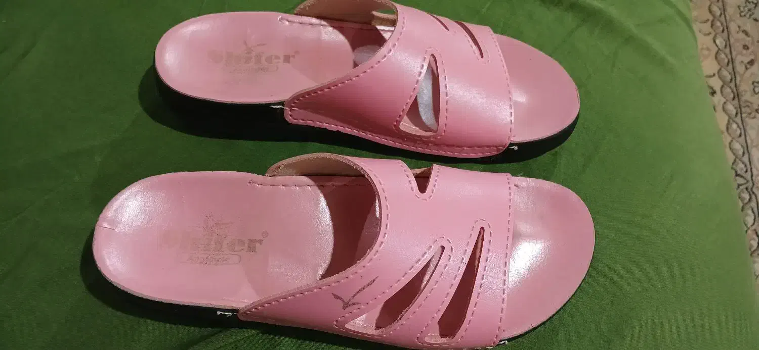 روفرشی تمام چرم برندشیفر37|کیف، کفش، کمربند|رشت, استقامت ۱|دیوار