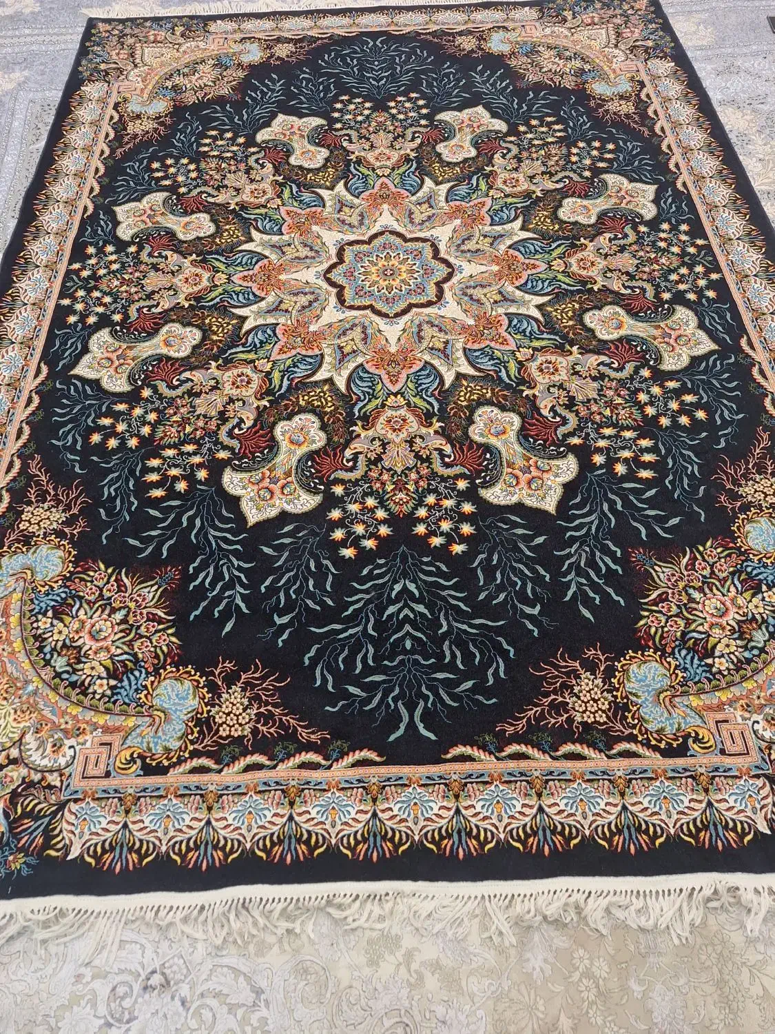 فرش نه متری هفتصد شانه|فرش|گلستان (تهران), |دیوار