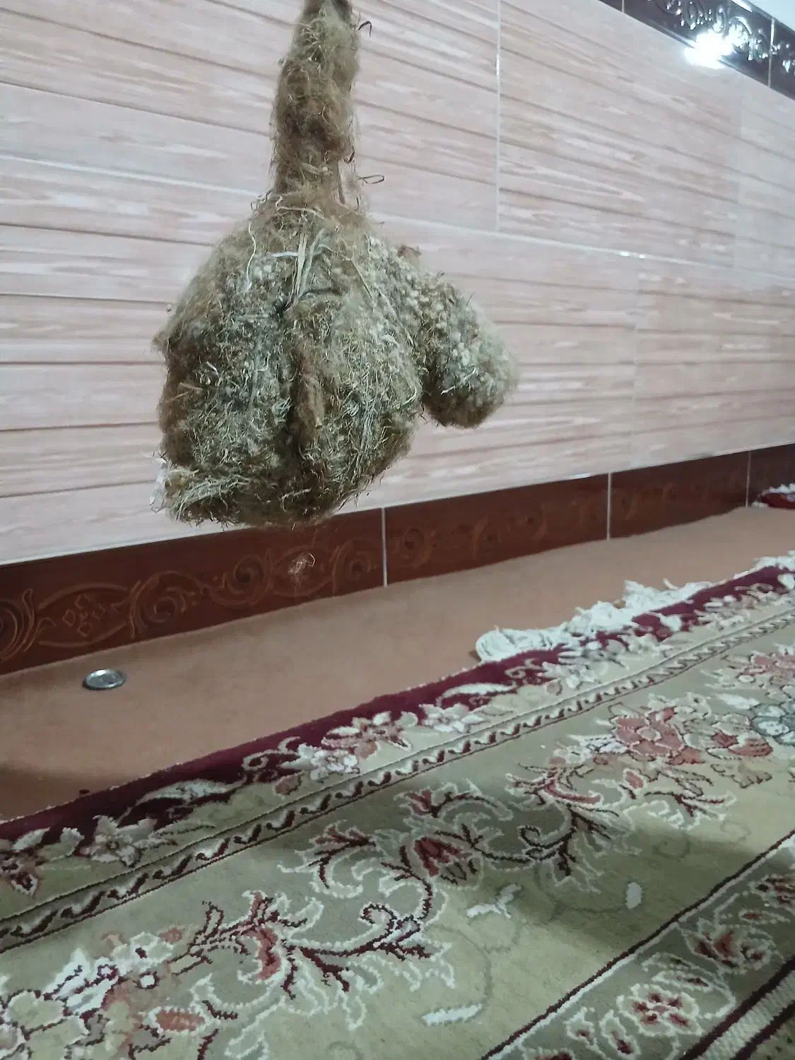 لانه بلبل طبیعی|لوازم جانبی حیوانات|خسروشاه, |دیوار