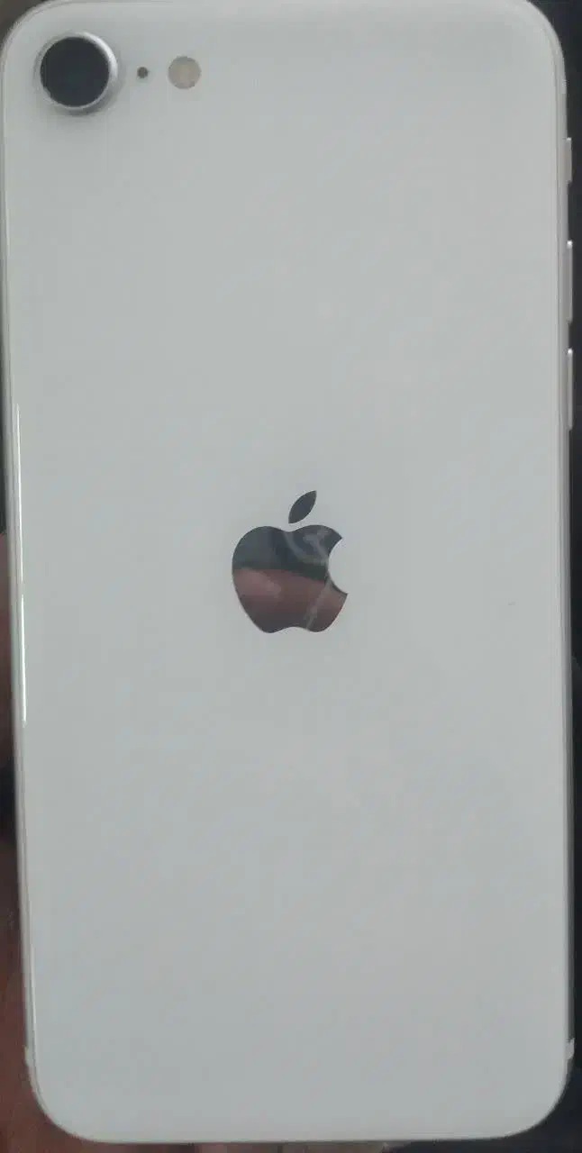 اپل iPhone SE (2020) با حافظهٔ ۱۲۸ گیگابایت|موبایل|کرمان, |دیوار
