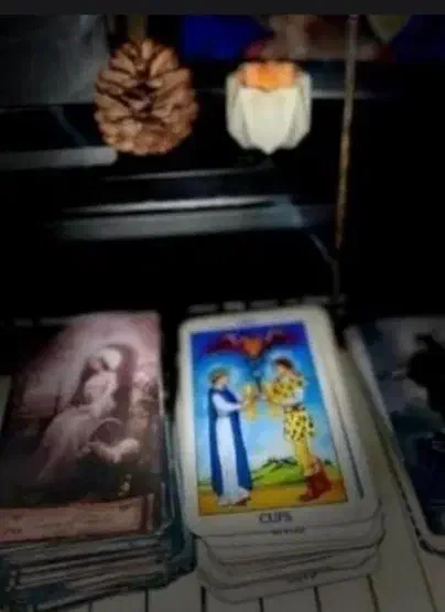 ف.ا.ل ک.لی|خدمات پذیرایی، مراسم|ارومیه, |دیوار