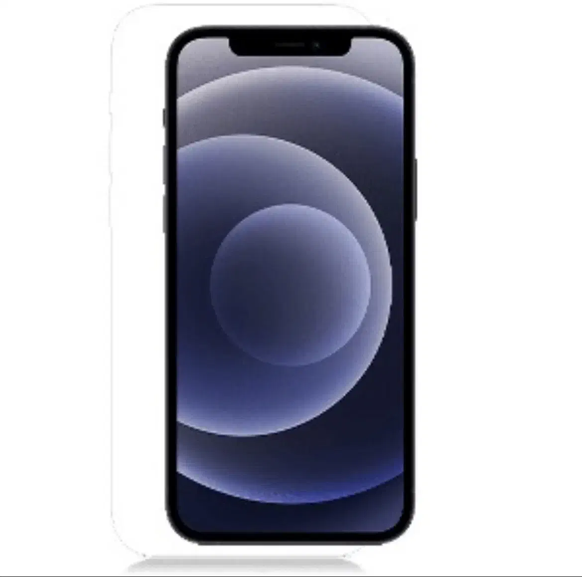 Iphone12 normal|موبایل|سبزوار, امیر کبیر|دیوار