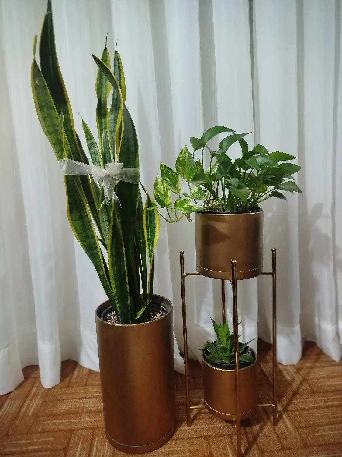 گل و گلدون باهم|گل و گیاه طبیعی|رشت, آب و برق|دیوار