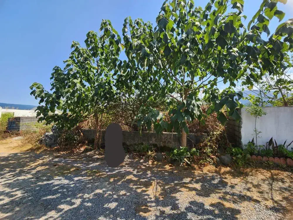 500 متر زمین شهرکی در متل قو خیابان فلاحی|فروش زمین و ملک کلنگی|سلمانشهر, |دیوار