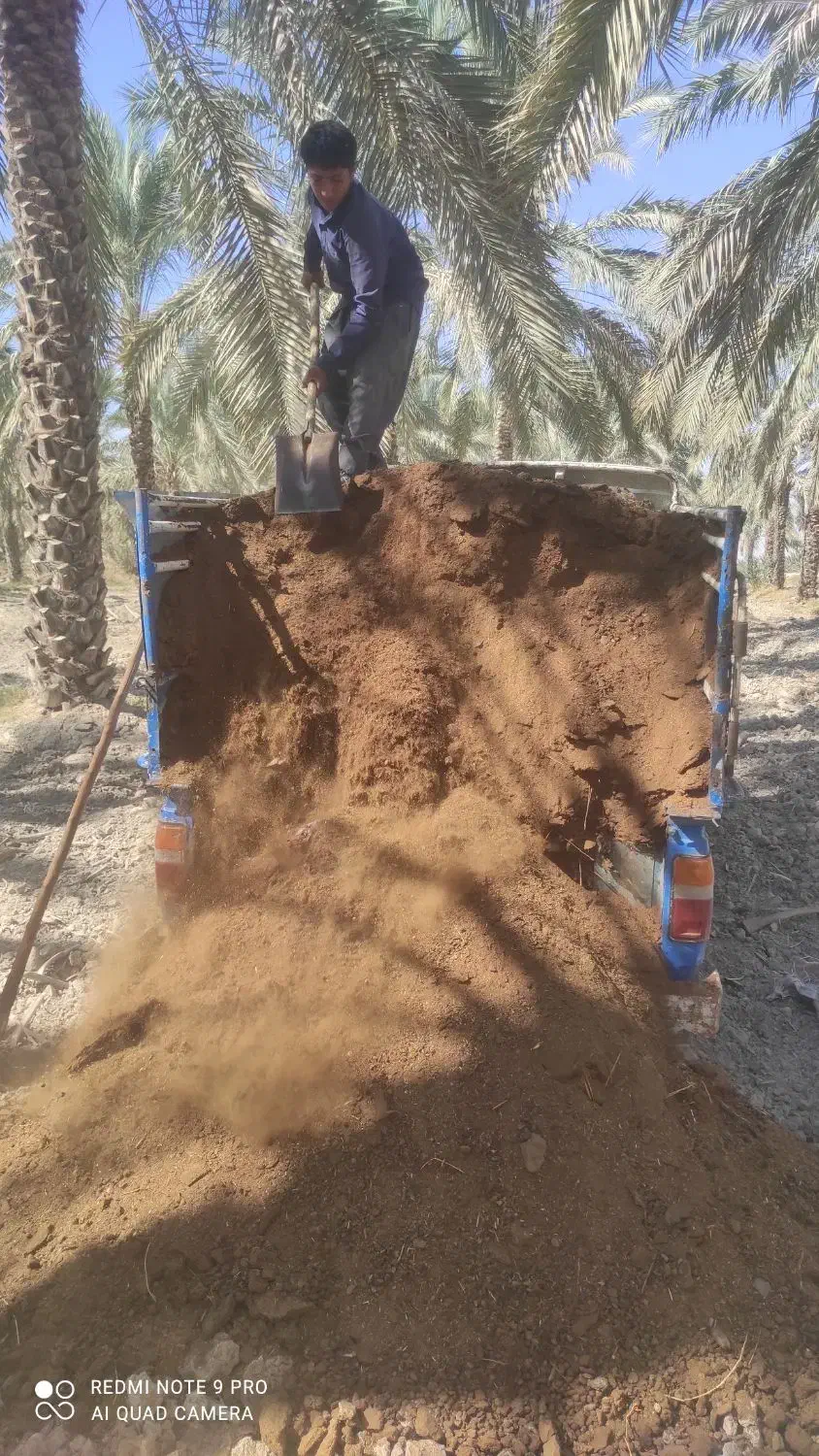 کود حیوانی نیسانی تحویل محل آبپخش|خدمات باغبانی و درختکاری|آبپخش, |دیوار