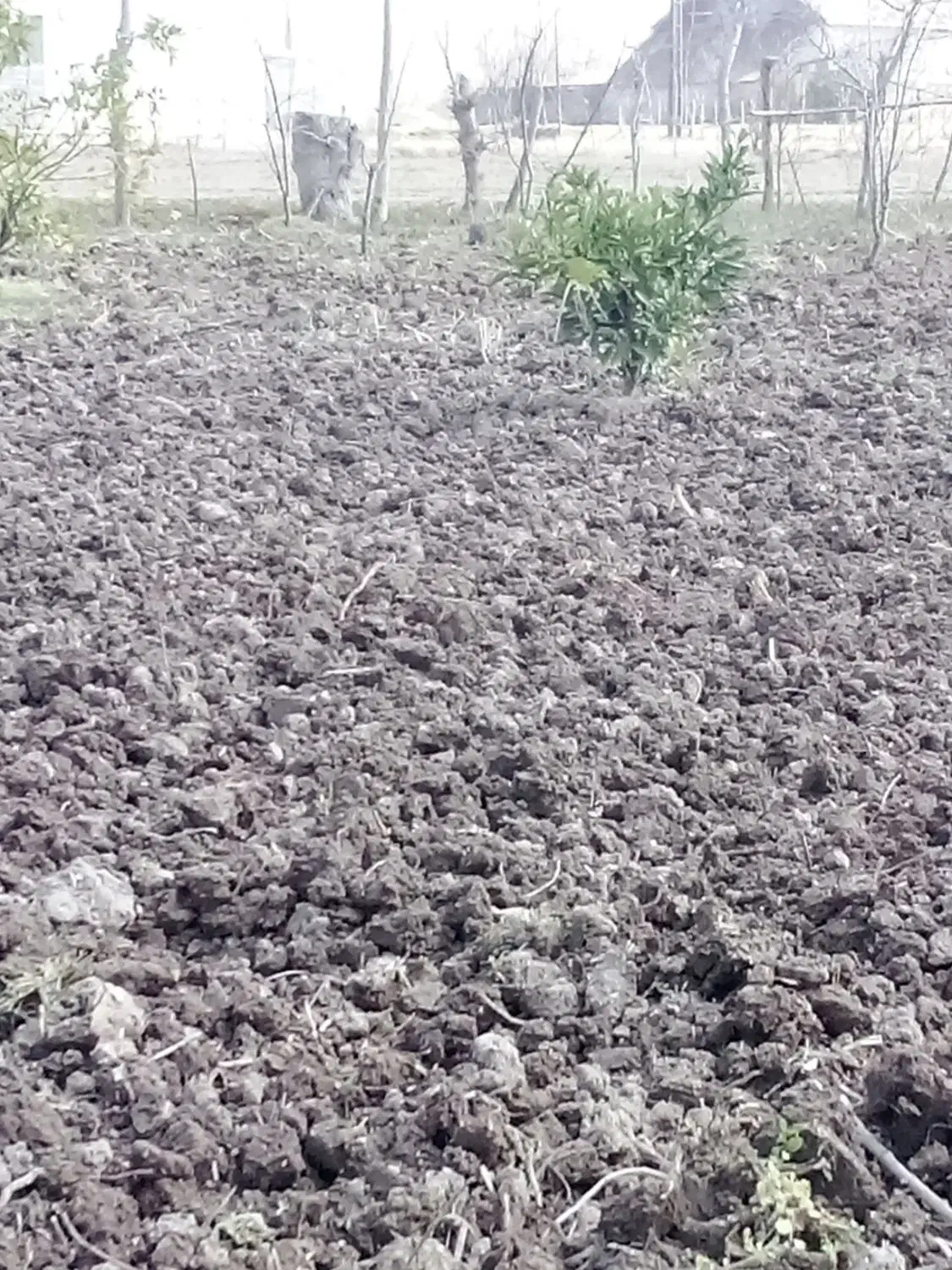 شخم زدن باغ|خدمات باغبانی و درختکاری|رودبنه, |دیوار