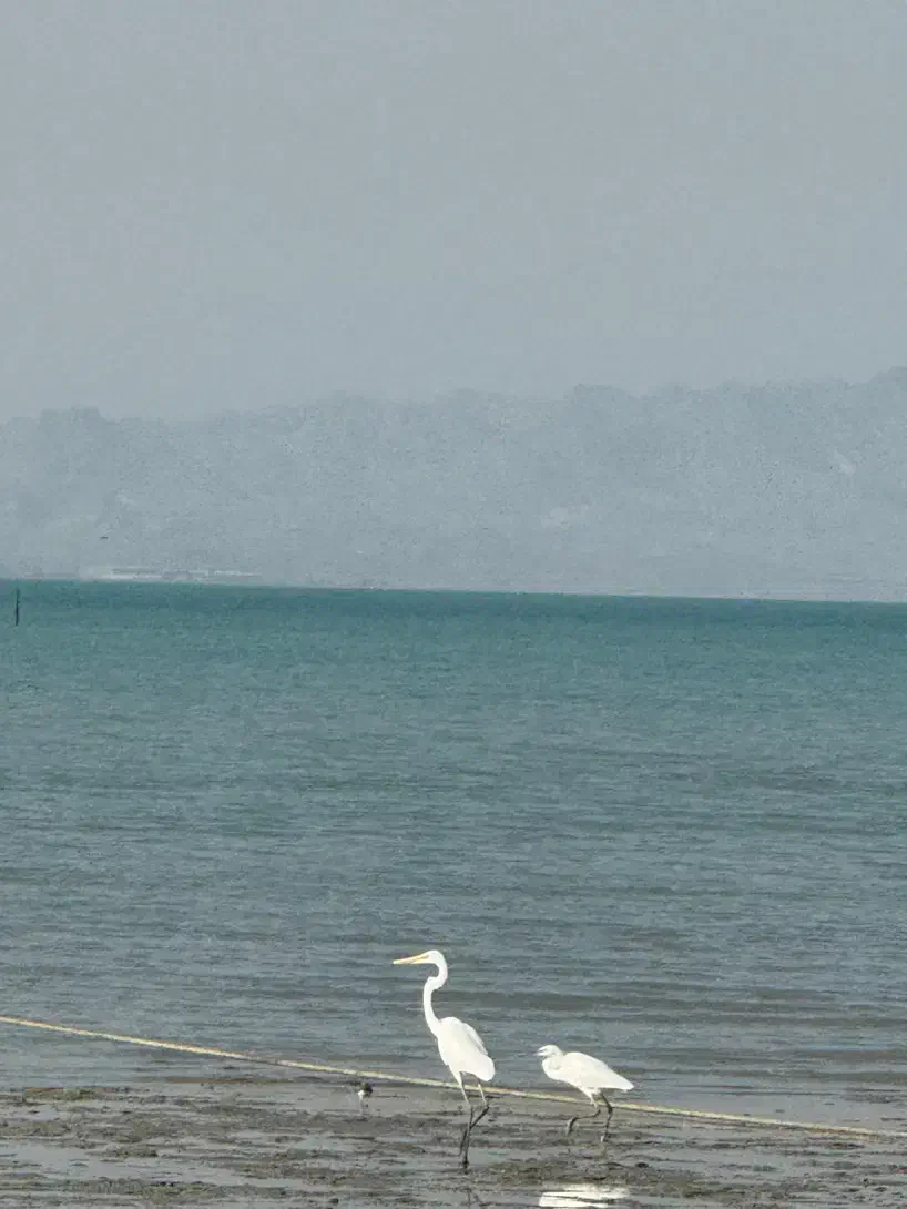 سویت اجاره ای همراه با پارکینگ|اجارهٔ کوتاه‌مدت آپارتمان و سوئیت|درگهان, |دیوار