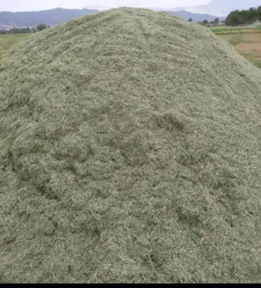 توافقی|لوازم جانبی حیوانات|تویسرکان, |دیوار