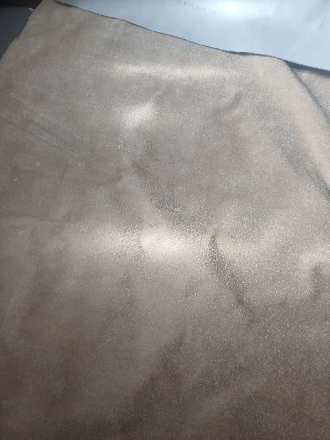 پلاز موکت نو|موکت|کارون, |دیوار