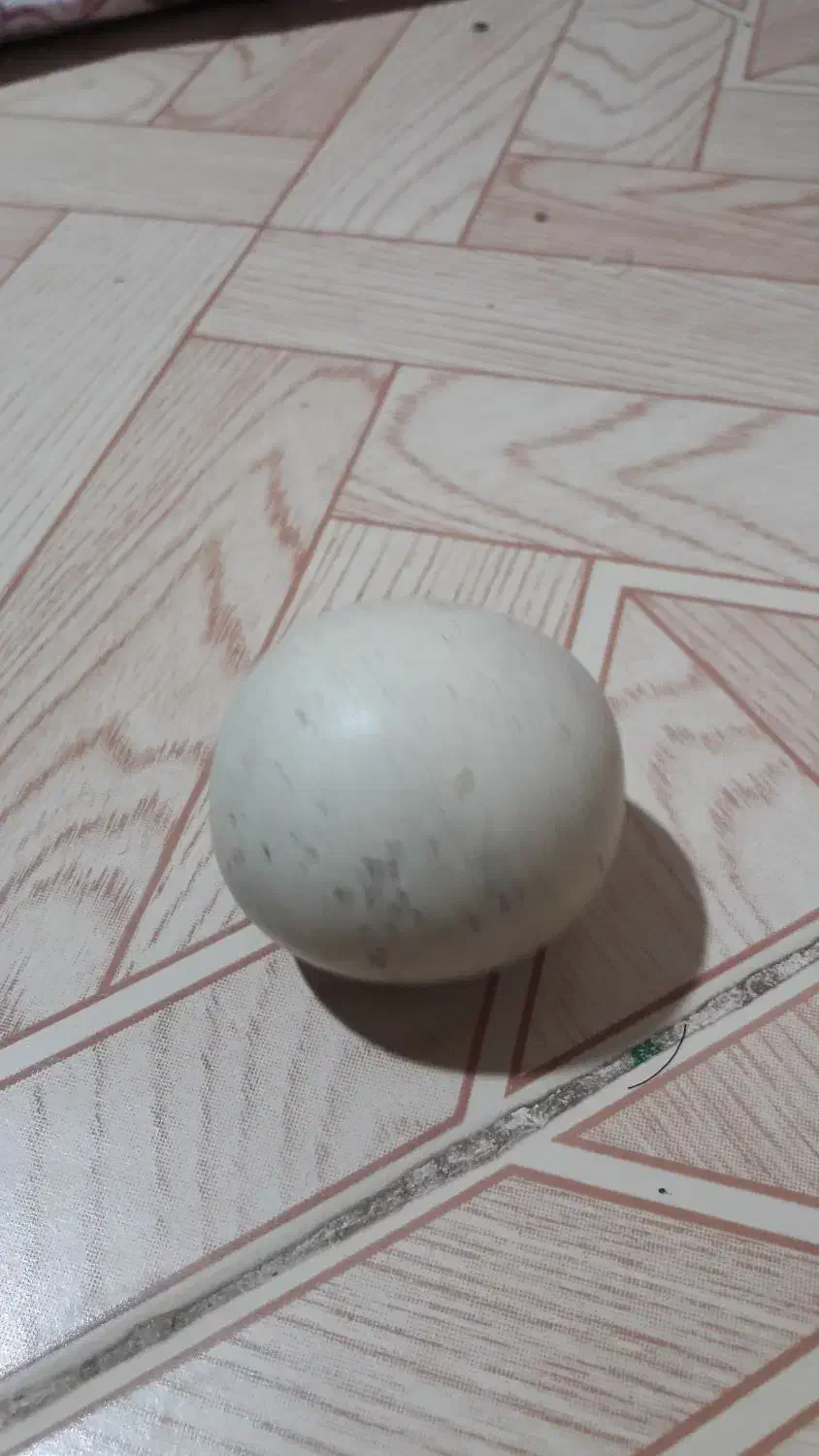 سنگ اسیاب|کلکسیون اشیاء عتیقه|رفسنجان, |دیوار