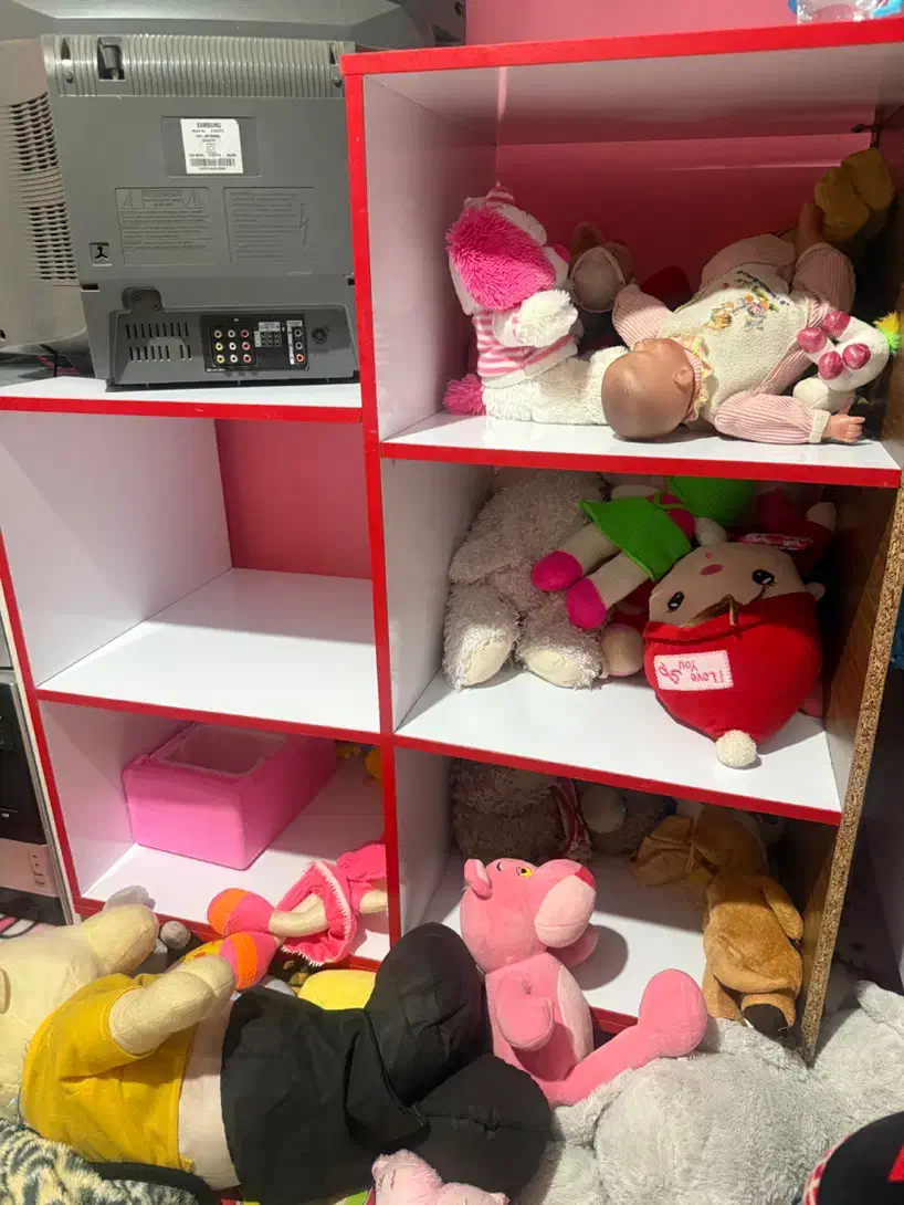 طبقه|کتابخانه، شلف، قفسه‌های دیواری|گرگان, |دیوار