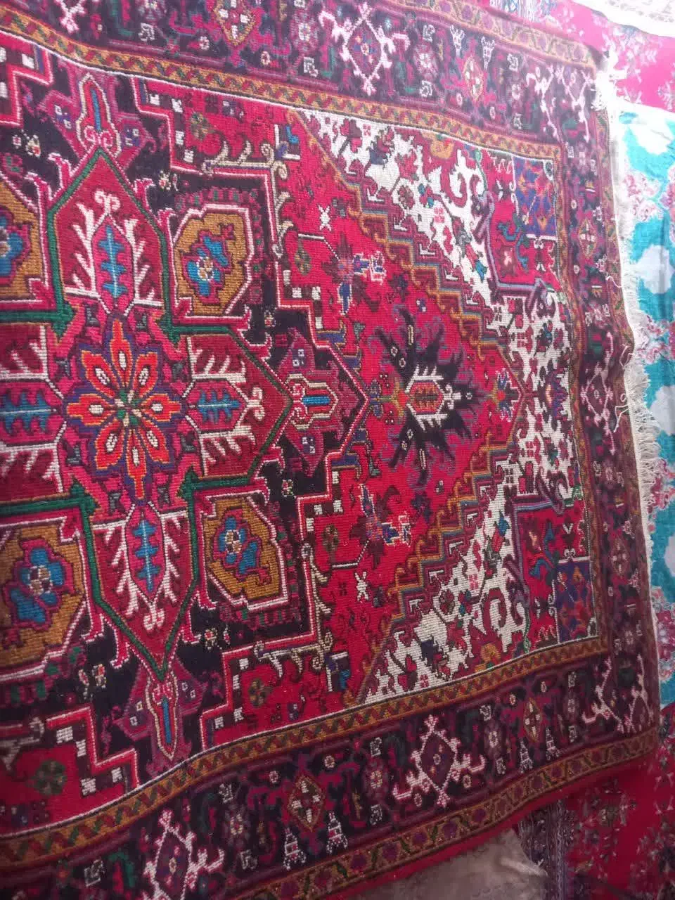 فرش ۶ متری دستباف|فرش|تبریز, |دیوار