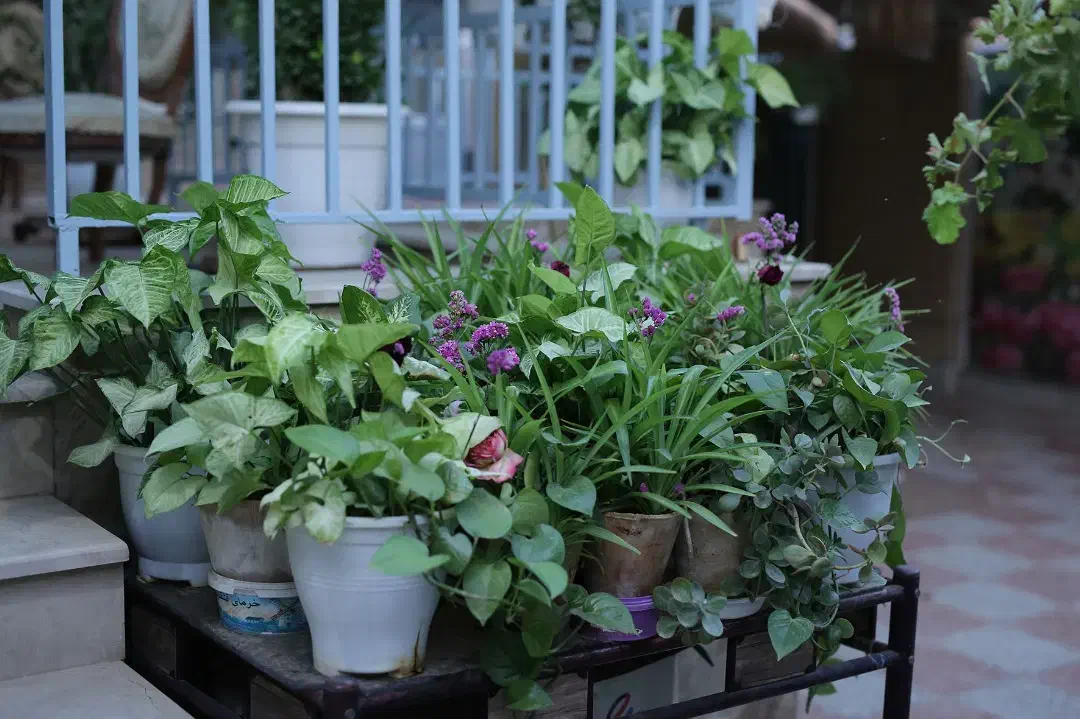 اجاره منزل سوئیت|اجارهٔ کوتاه‌مدت آپارتمان و سوئیت|اصفهان, شهرک امام خمینی|دیوار