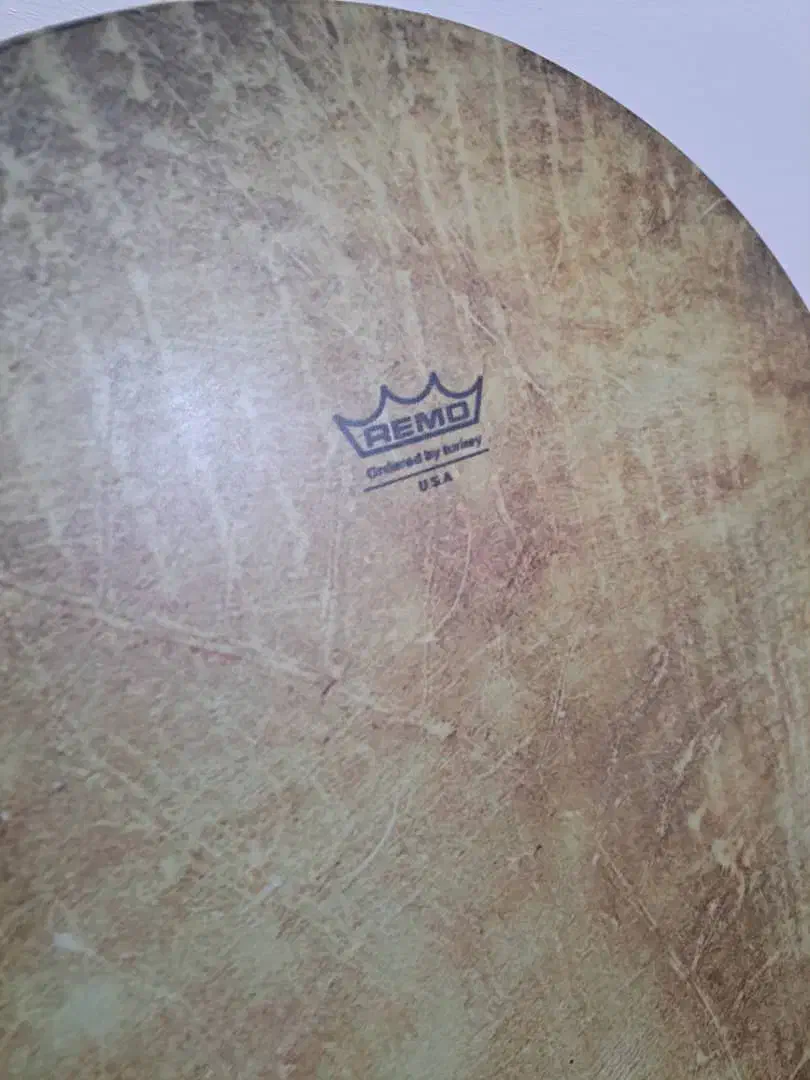 دف برند رمو همراه با کیف|سازهای سنتی|فردیس, فردیس|دیوار