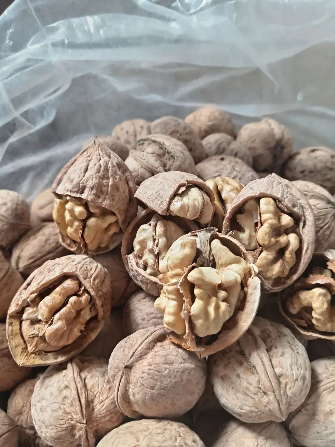 فروش گردو  درجه یک تضمینی کلان سفید معز|خوردنی و آشامیدنی|خوی, |دیوار