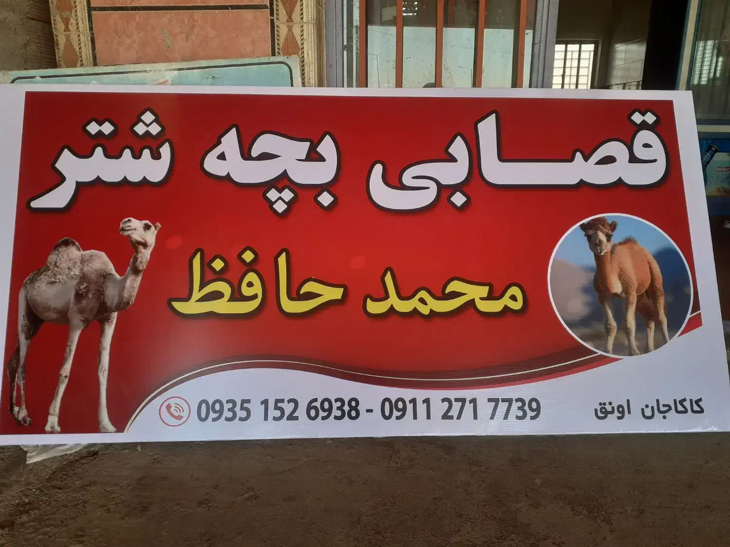 گوسفند بز|حیوانات مزرعه|آق قلا, |دیوار