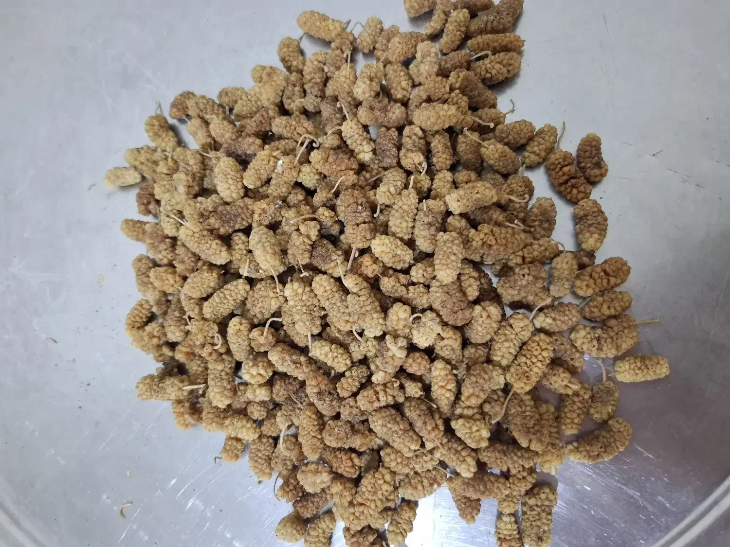 خشکبار|خوردنی و آشامیدنی|تسوج, |دیوار