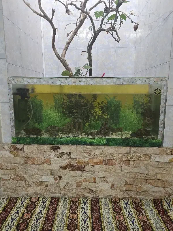آکواریوم ۱۱۵در۵۵|ماهی|محمدشهر, محمدشهر|دیوار