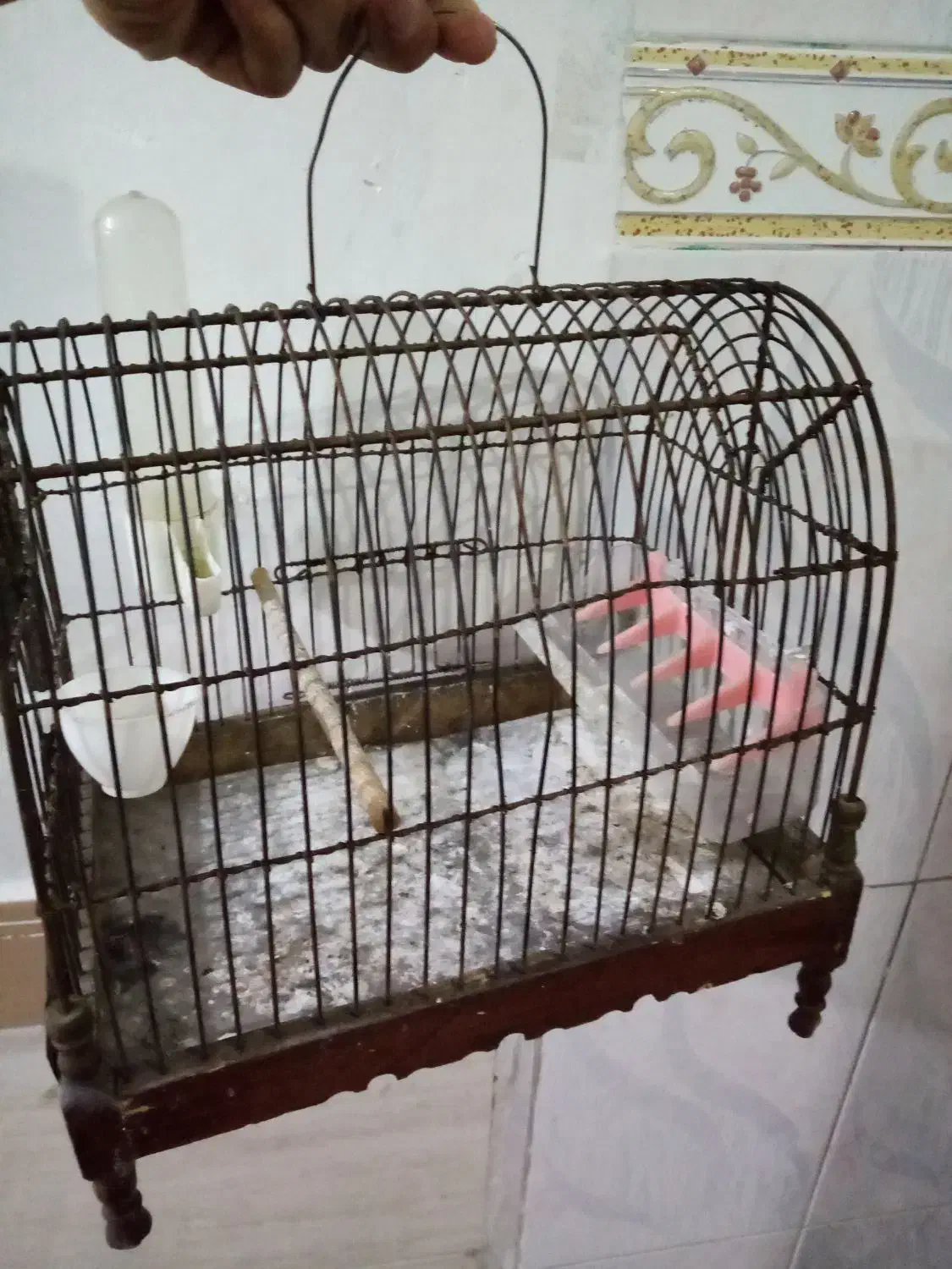 قفس سهره|لوازم جانبی حیوانات|اشتهارد, |دیوار