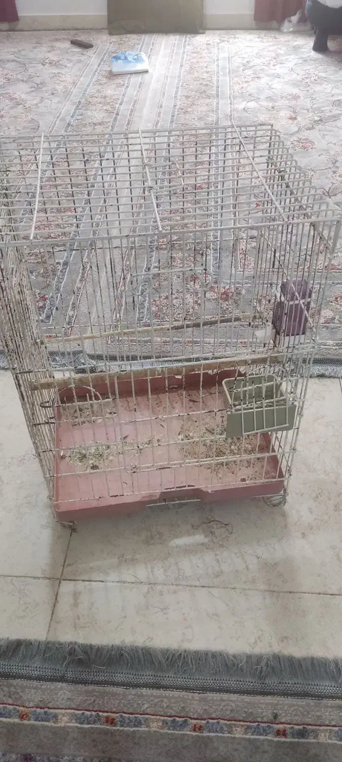 قفس پرنده|لوازم جانبی حیوانات|کیش, |دیوار