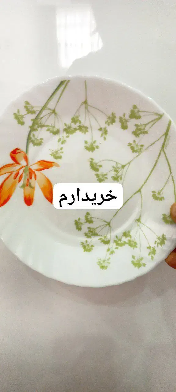 آرکوپال|ظروف سرو و پذیرایی|نسیم‌شهر, |دیوار