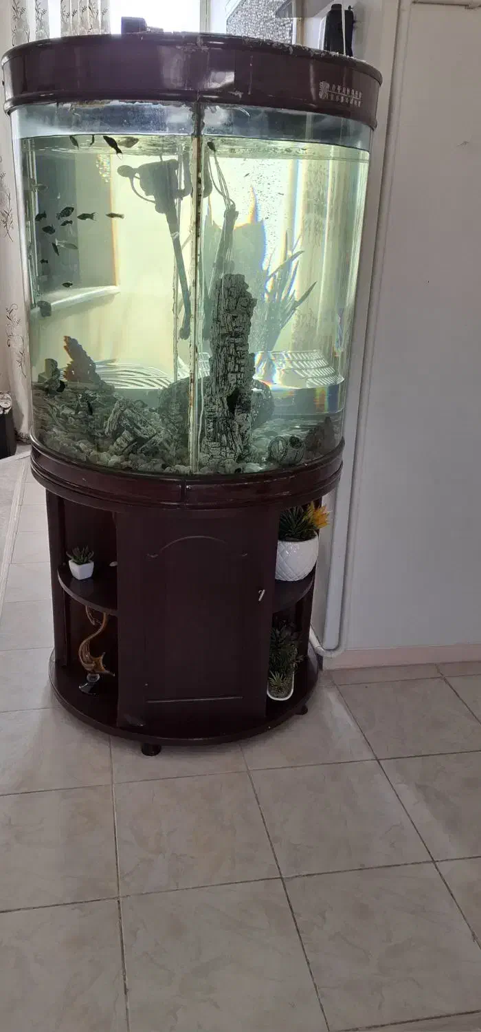 فروش آکواریوم|ماهی|جم, |دیوار