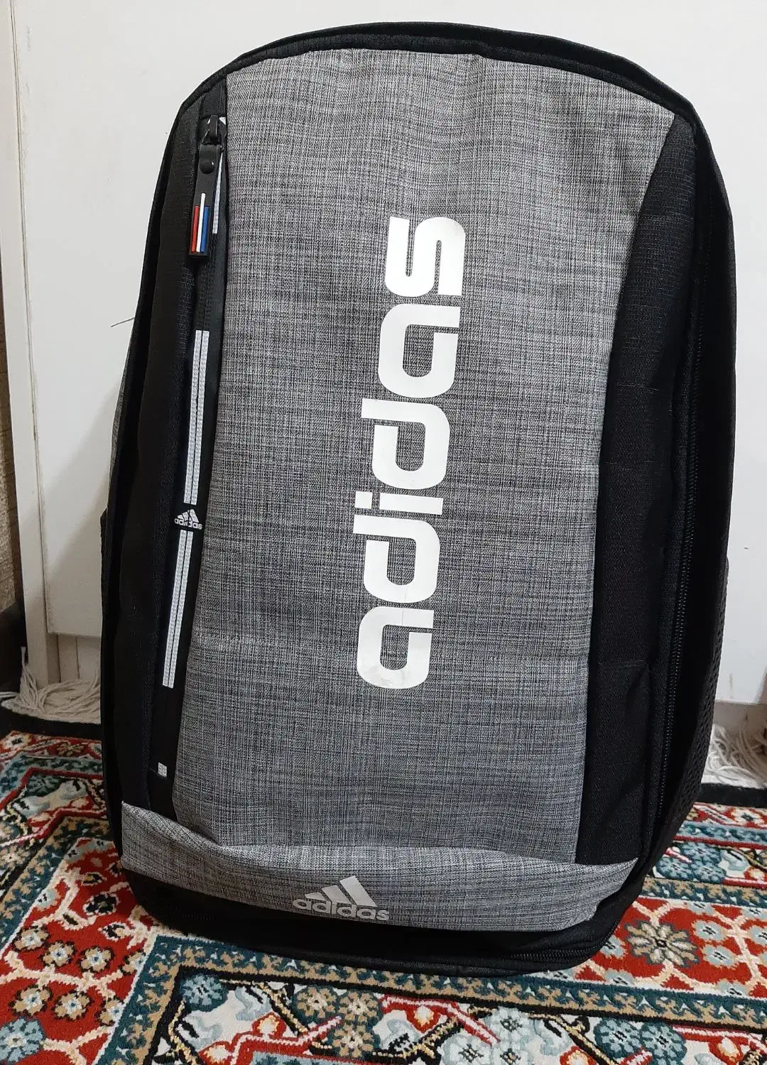 کوله ورزشی|کیف، کفش، کمربند|شیراز, گود خزینه|دیوار