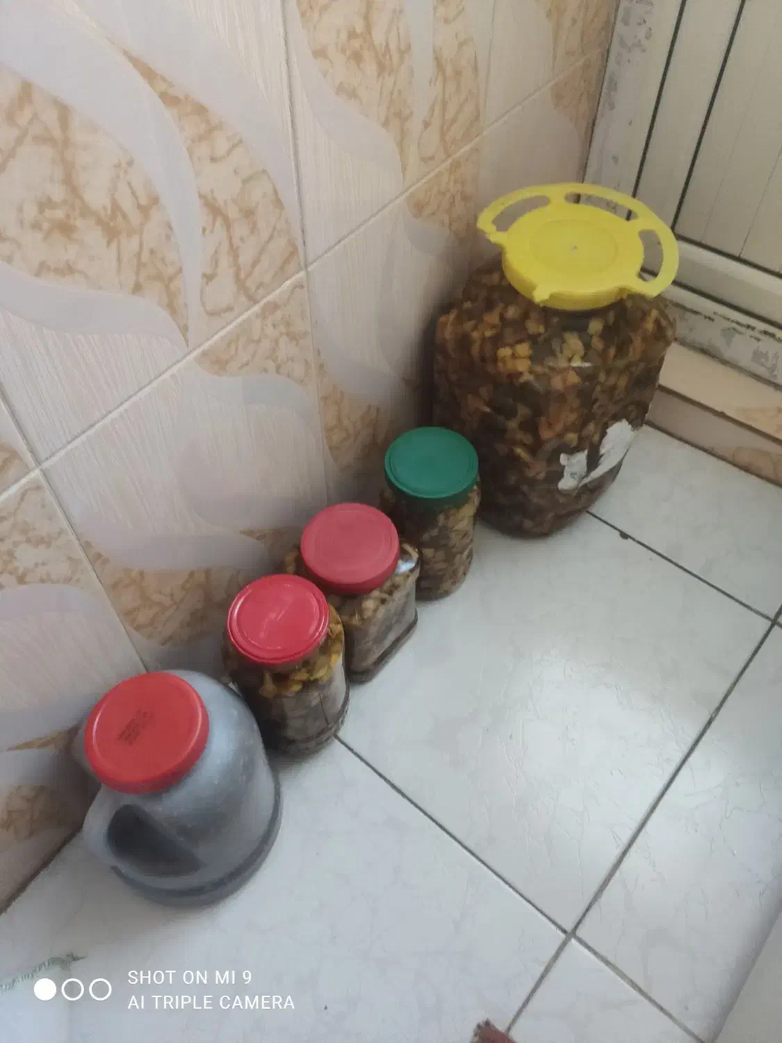 ترشی فلفل ترشی هفت بیدار ترشی لیته کیلو ۱۲۰ هزار|خوردنی و آشامیدنی|محمله, |دیوار