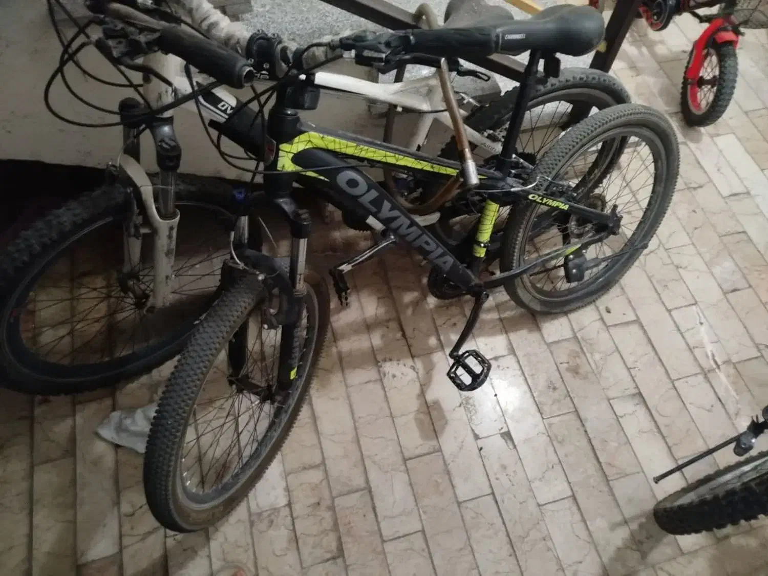 دوچرخه المپیا|دوچرخه، اسکیت، اسکوتر|قم, پردیسان|دیوار