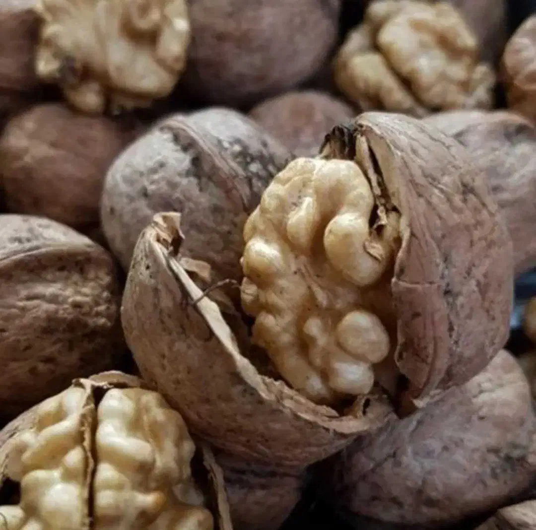 فروش گردو|خوردنی و آشامیدنی|نهاوند, |دیوار