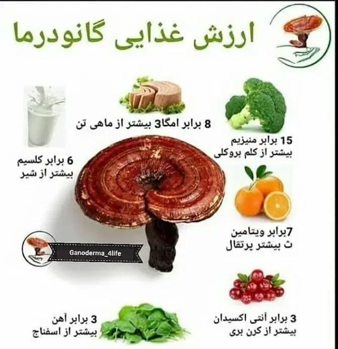 قهوه گانودرما(سوپریم موکا لاته،‌هاتچاکلت،ماسالا)|خوردنی و آشامیدنی|شیراز, فرهنگ شهر|دیوار