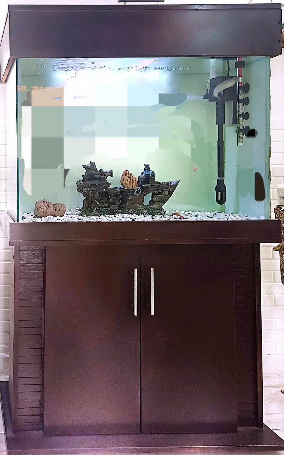 آکواریوم کمددار ۸۰ در ۶۰ در ۳۰|ماهی|فردیس, فردیس|دیوار