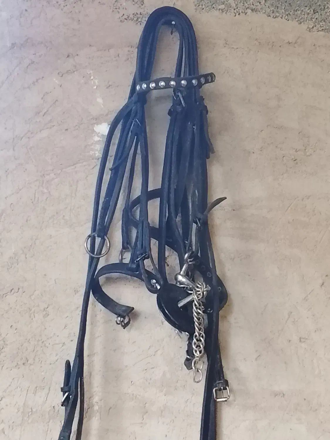 یک عدد زین و یه سر کلگی کامل|اسب و تجهیزات اسب‌سواری|اصفهان, قهجاورستان|دیوار