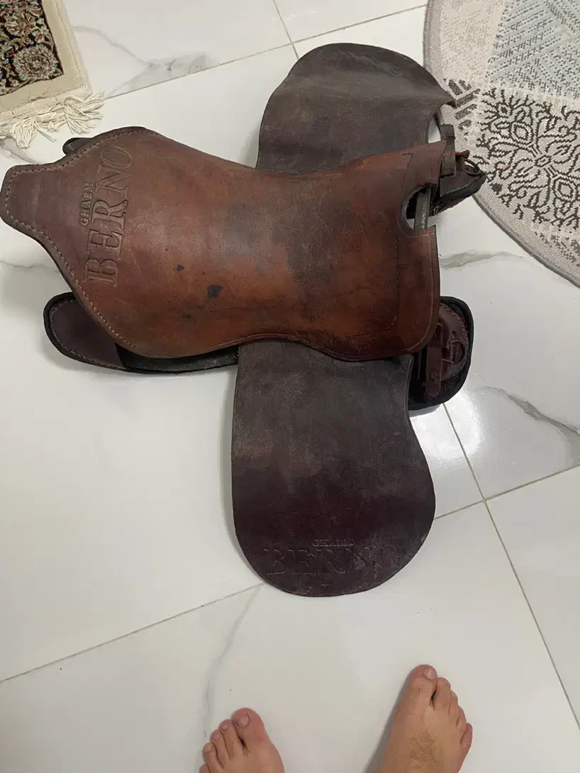 زین اسب|اسب و تجهیزات اسب‌سواری|رشت, بلوار گیلان|دیوار