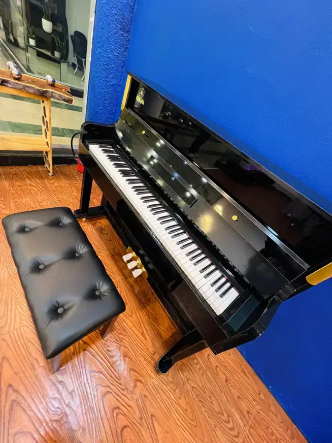 پیانو یاماها|پیانو، کیبورد، آکاردئون|کیش, |دیوار