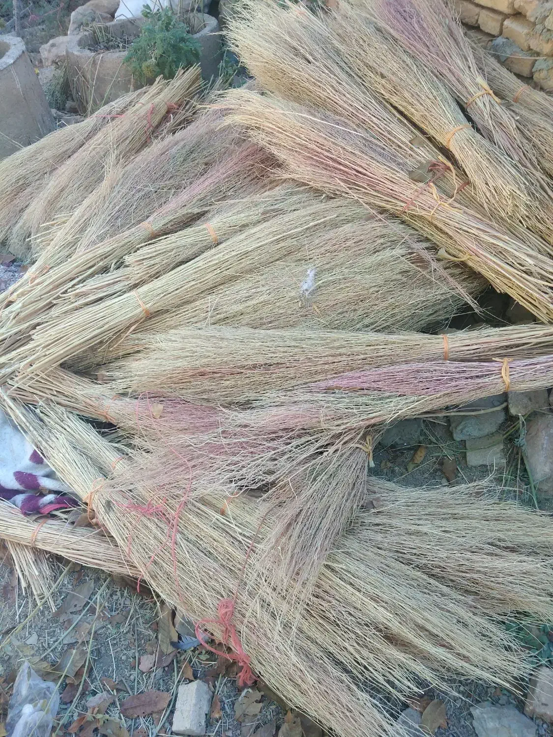 جارو باغی|لوازم نظافت|لاران, |دیوار