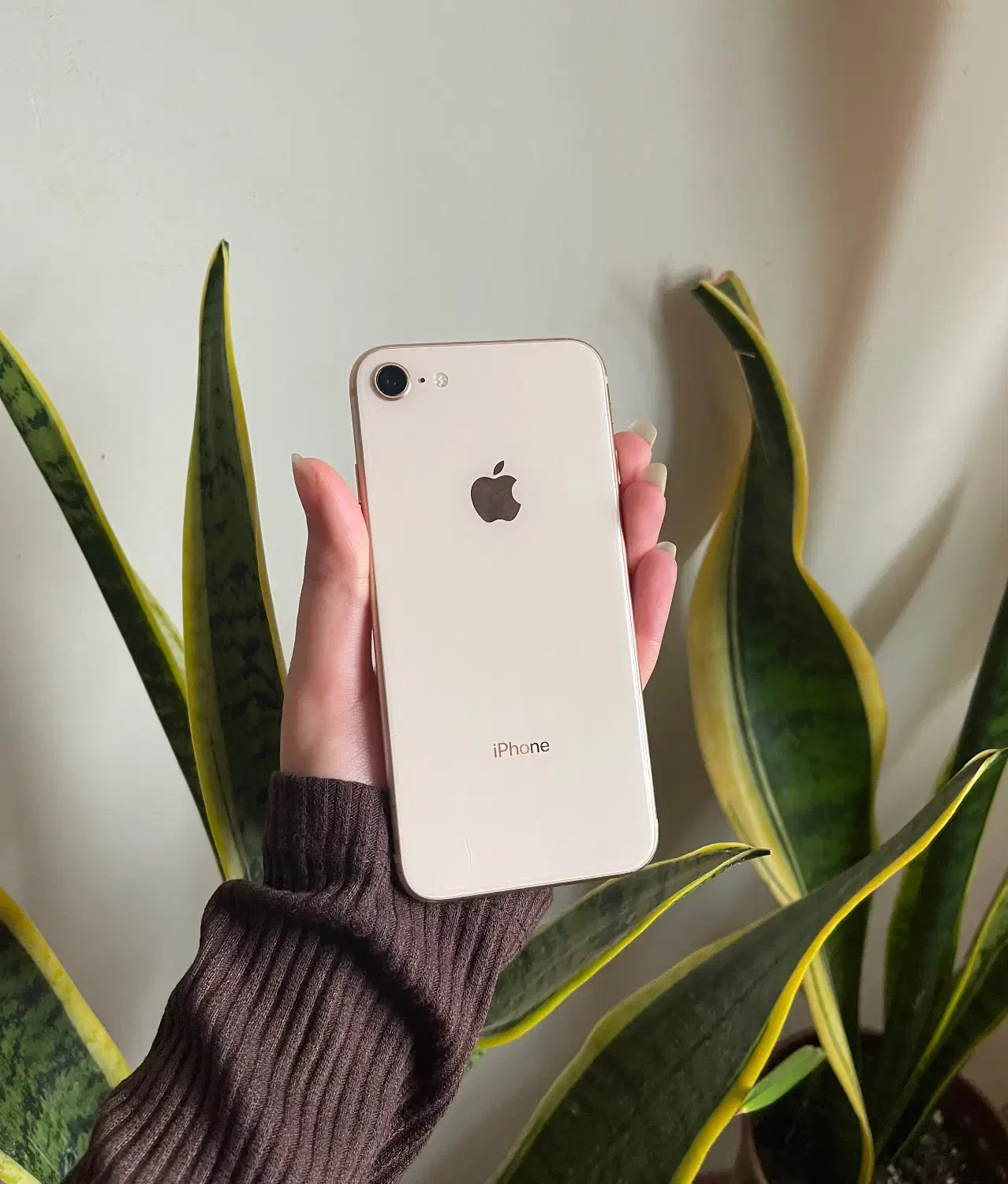 iPhone 8 Gold 64|موبایل|بندر انزلی, گلسرخ|دیوار