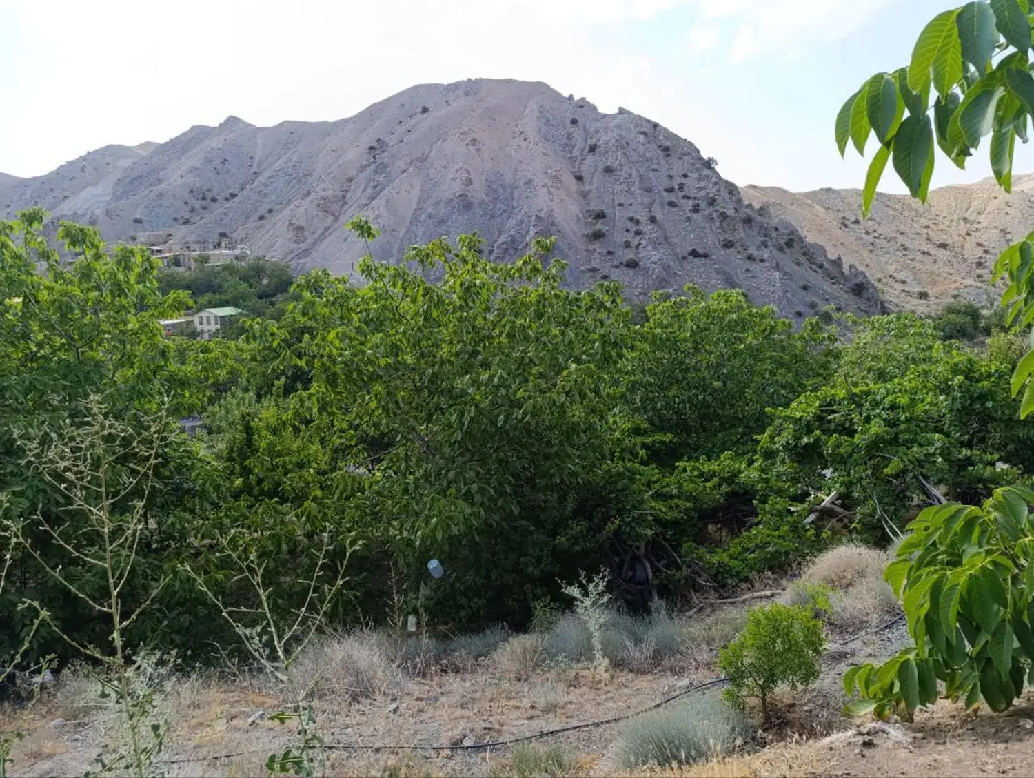 تصویر 8